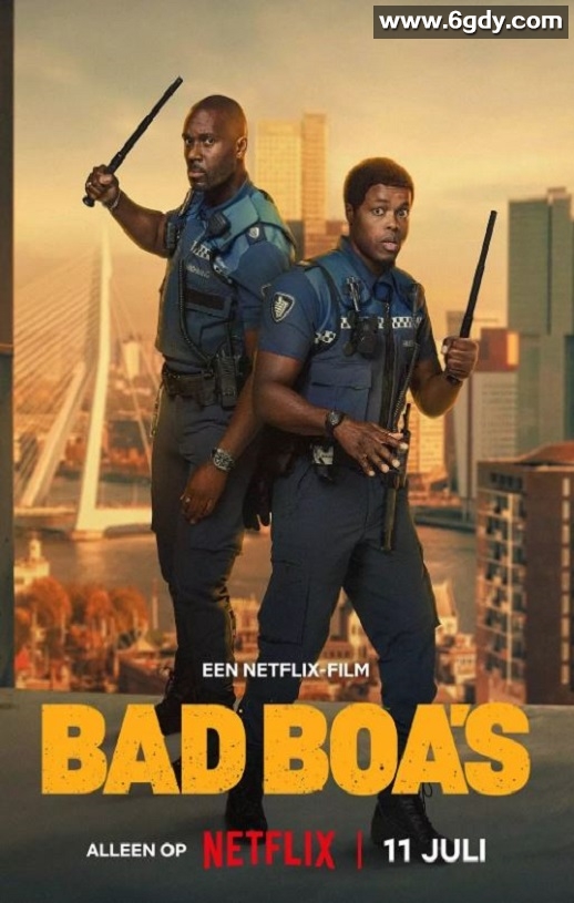 2025年荷兰喜剧片《凹凸双雄》HD荷兰语中字迅雷下载