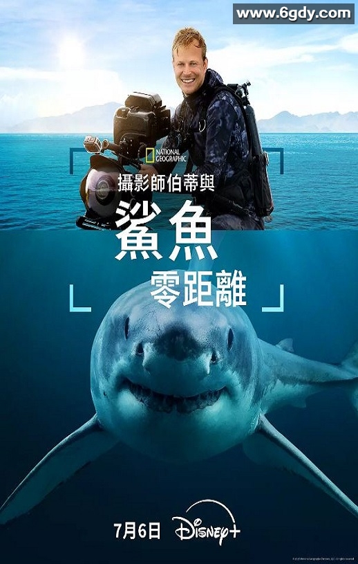 2025年美国纪录片《摄影师贝尔蒂与鲨鱼零距离》HD英语中字迅雷下载