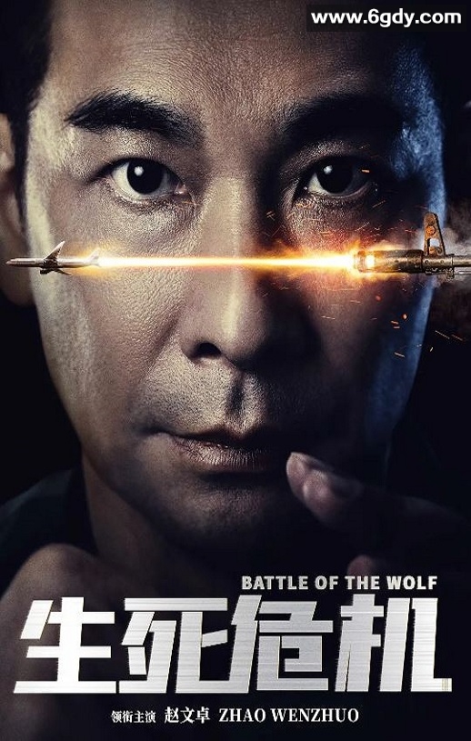 2025年国产动作片《生死危机》HD国语中英双字迅雷下载