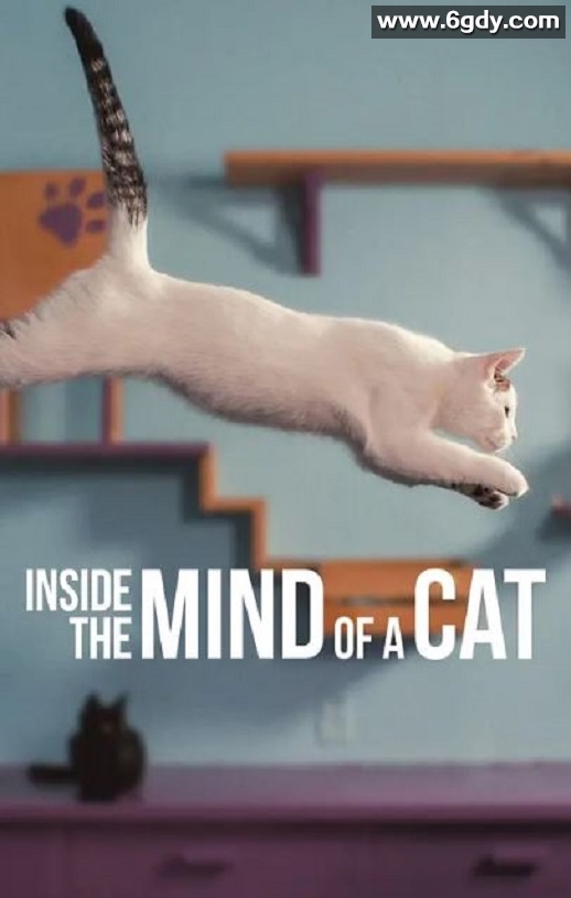 2022年美国纪录片《喵星人的奇思妙想》HD英语中字迅雷下载