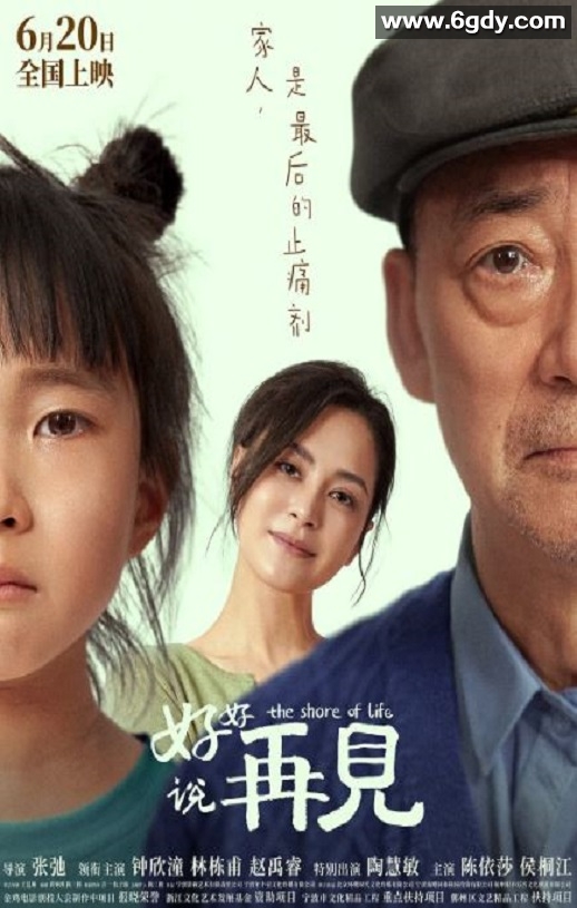 2025年国产剧情片《好好说再见》HD国语中字迅雷下载