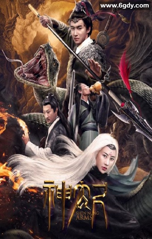 2020年国产动作片《神农尺》HD国语中字迅雷下载