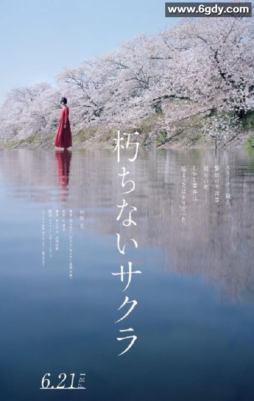 2024年日本悬疑剧情片《不朽的樱花》BD日语中字迅雷下载