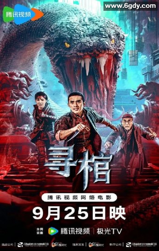 2025年国产动作冒险片《寻棺》HD国语中字迅雷下载