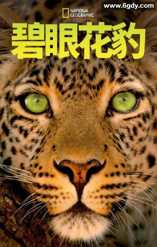 2020年美国纪录片《碧眼花豹》HD英语中字迅雷下载