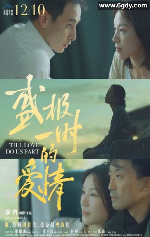 2022年国产爱情片《盛极一时的爱情》HD国语中字迅雷下载