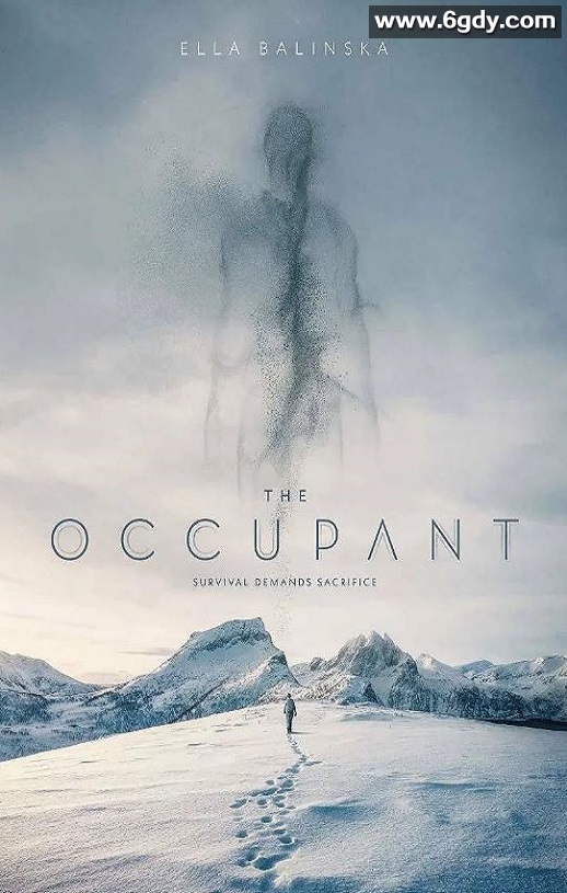 2025年荷兰悬疑片《冻土潜行》BD中英双字迅雷下载