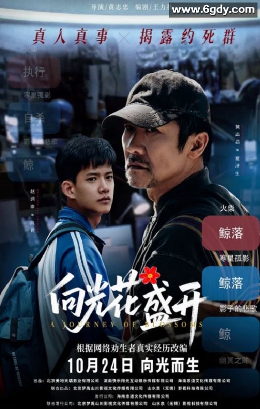 2025年国产剧情《向光花盛开》HD国语中字迅雷下载