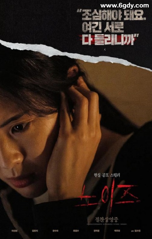 2024年韩国悬疑片《噪声》HD韩语中字迅雷下载