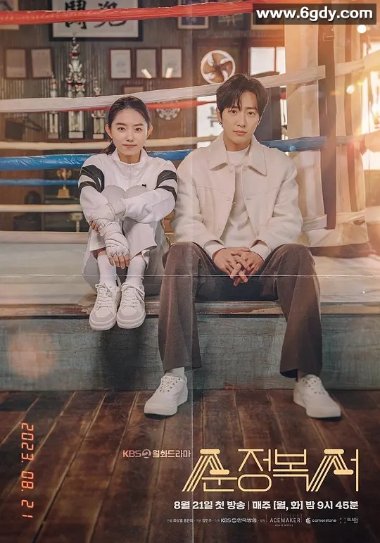 《纯情拳击手》韩剧：完整12集，高清1080P自制版，无水印，内嵌字幕