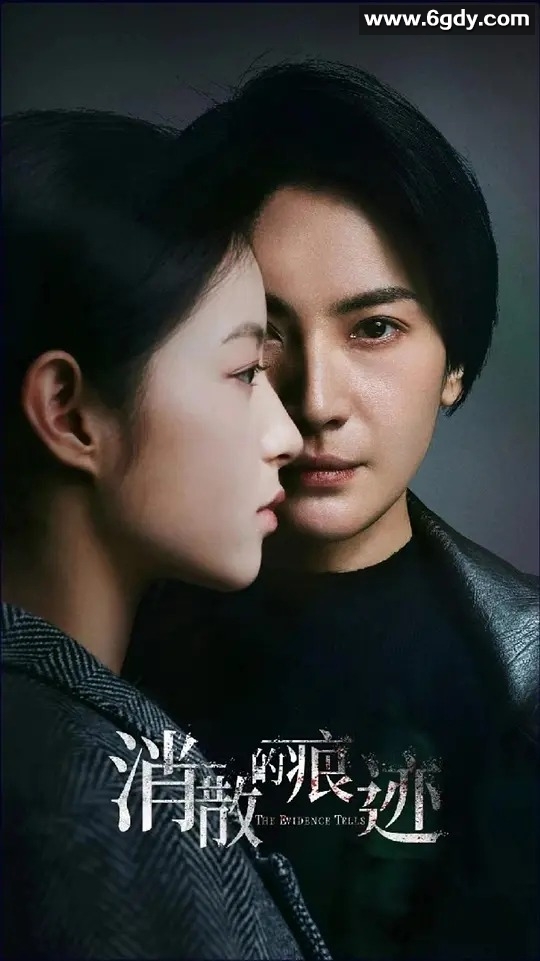 悬疑犯罪剧《消失的痕迹》32集 全程高清1080P 国语中字