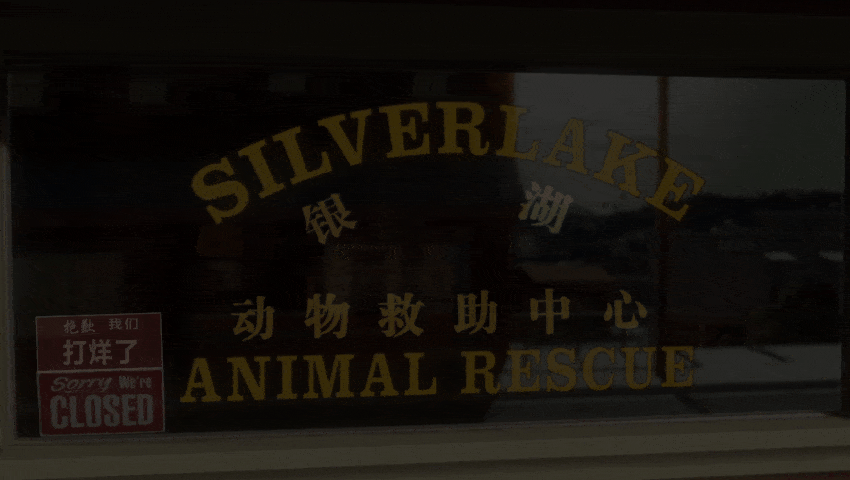 《闪电狗》1080P原盘REMUX国粤英台四音轨【北影央视国配DIY-全码DTS音轨】国配特效&amp;简英特效【22.76GB】的高清影片资源分享