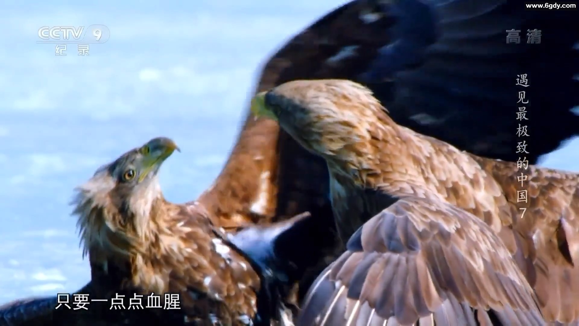 自然地理纪录片《遇见最极致的中国》【全7集】1080P