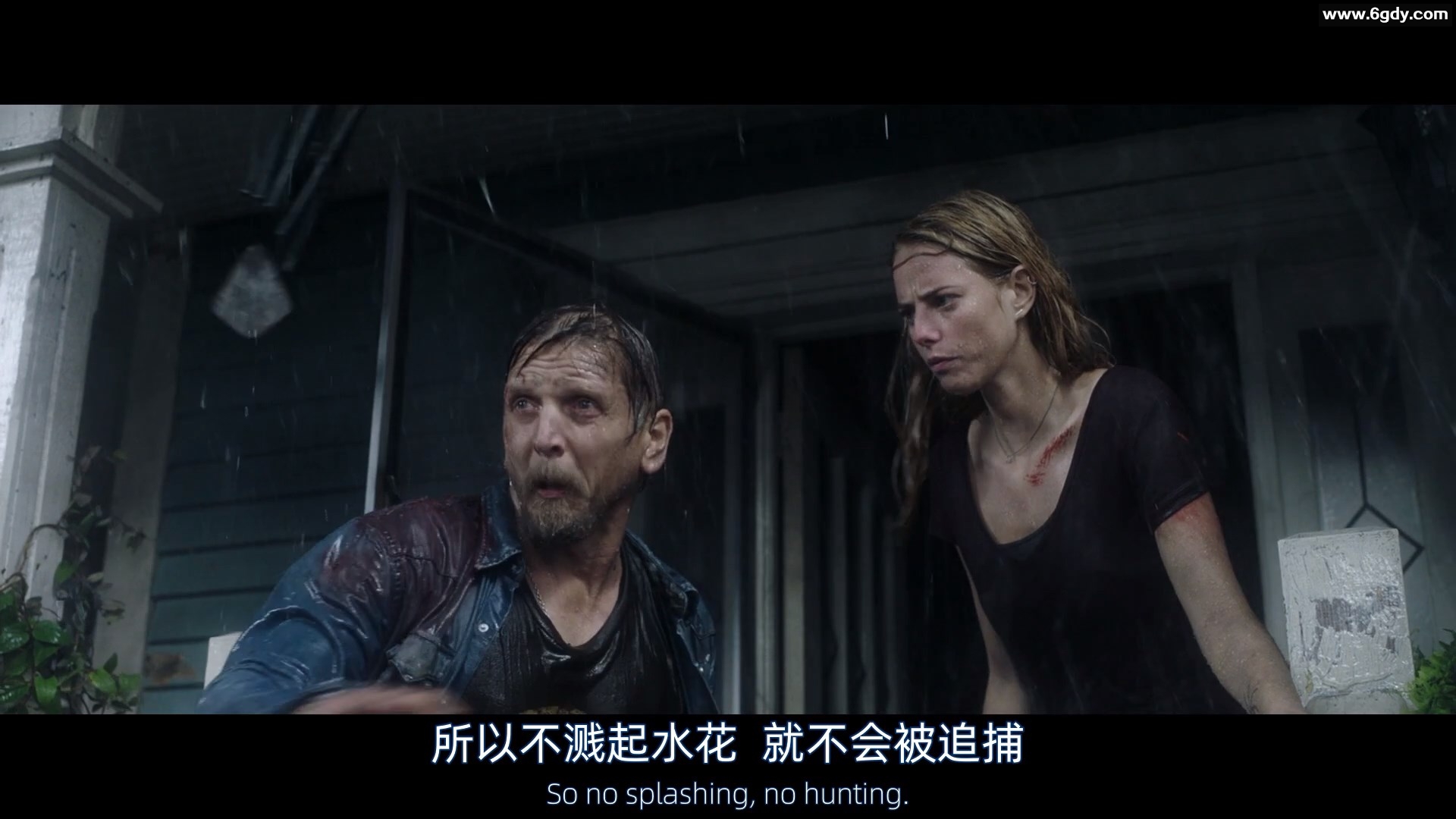 巨鳄风暴 2019 英语 中英双字 BD1080P