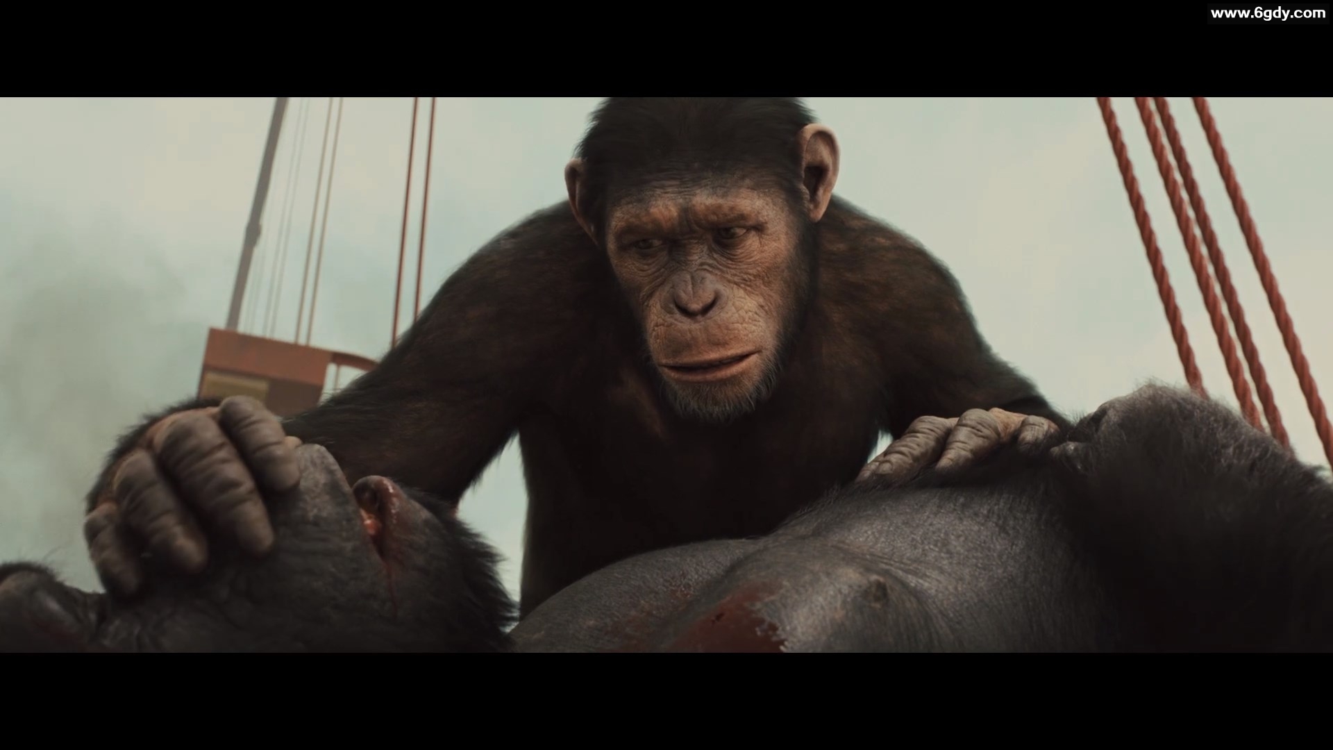 猩球崛起 2011 英语 中英双字 BD1080P