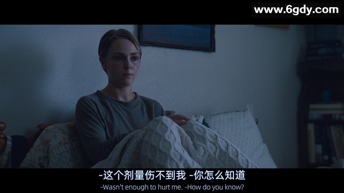 逆岭 2024 美国 英语 中英双字 HD1080P 