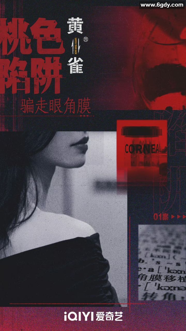 《黄雀》2025 郭京飞 秦岚 祖峰主演 犯罪剧情，每日更新 