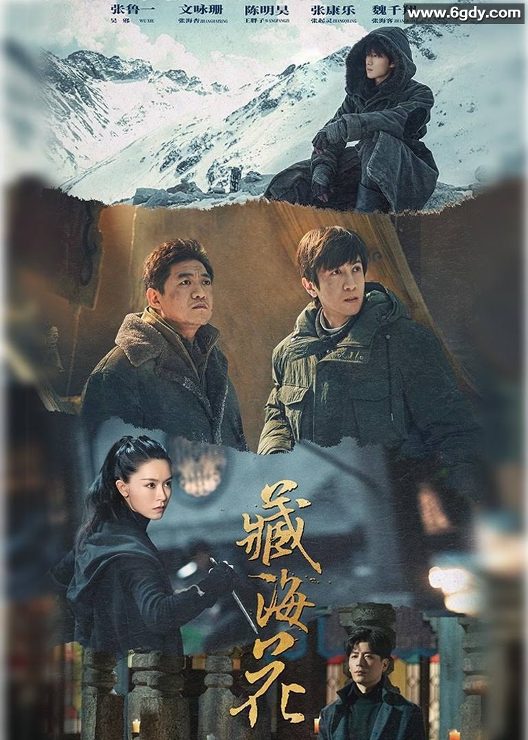 藏海花（2024）4K  持续更新 张鲁一 / 文咏珊 / 陈明昊 / 张康乐 / 魏千翔 / 白冰 