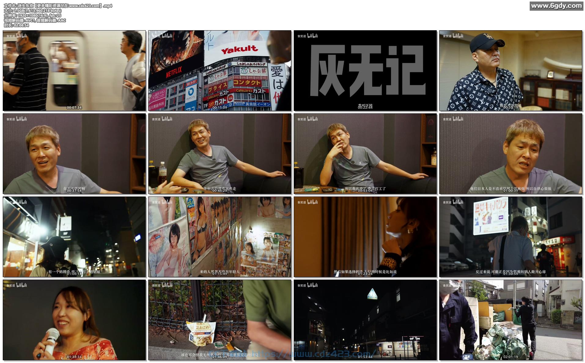 [纪录片] B站食贫道收费纪录片 *迷失东京* [1080P] 揭露日本大家感兴趣却不为人知的秘密 附整个系列 