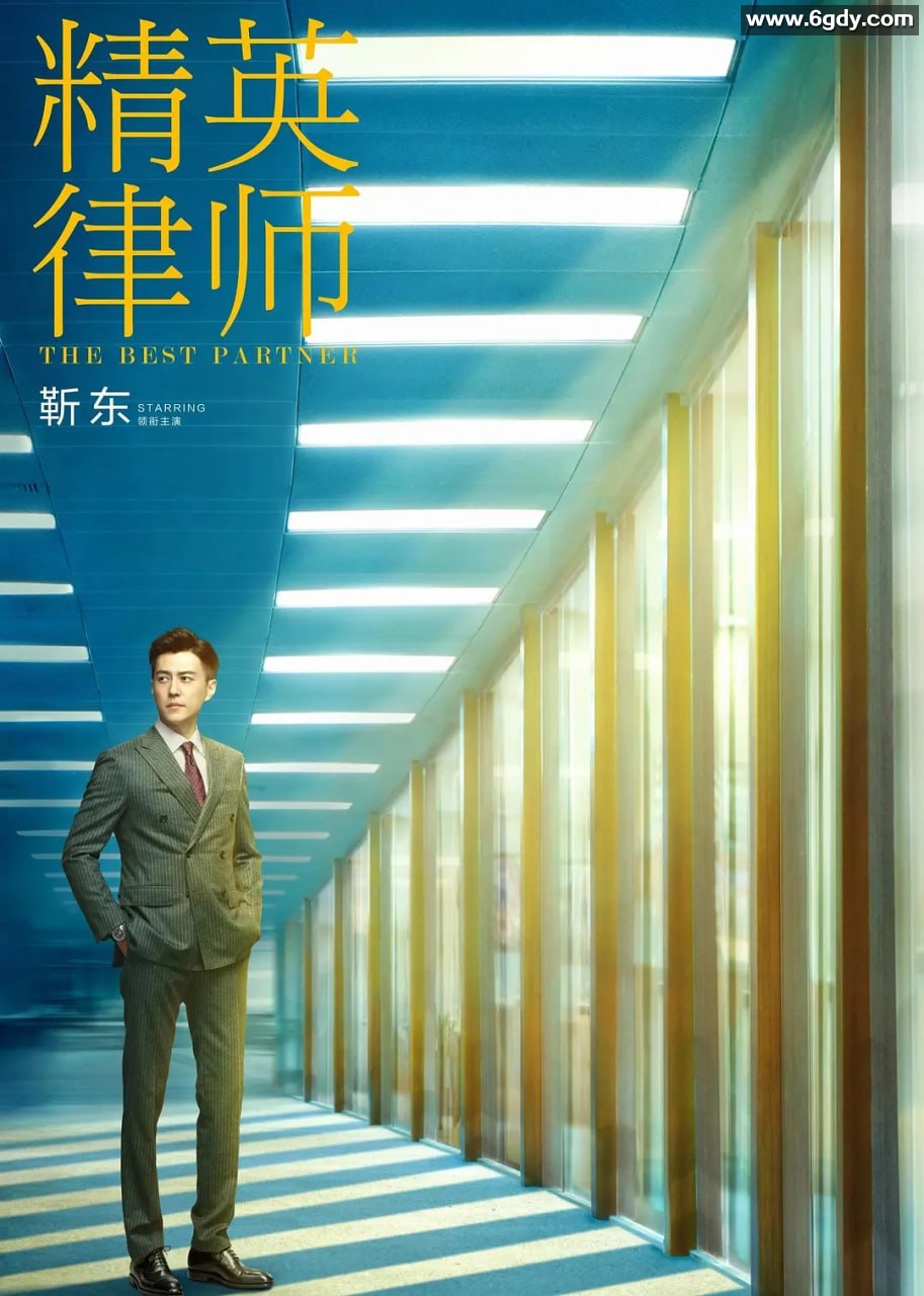 精英律师 2019 1080P 靳东 / 蓝盈莹 