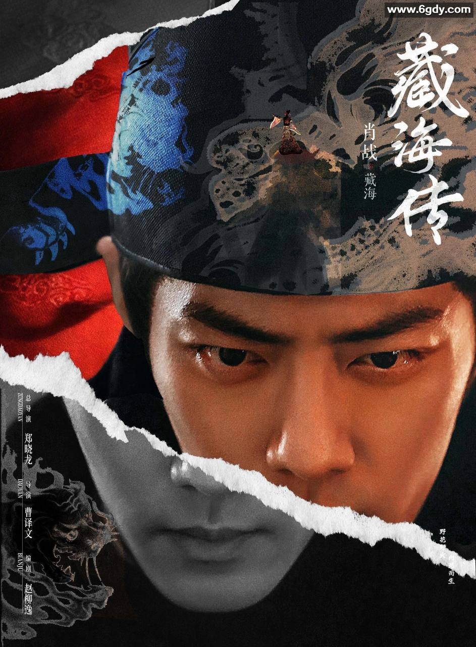 藏海传（2025） 4K 持续更新 肖战 / 张婧仪 郑晓龙导演 