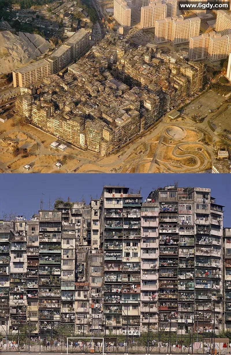 九龙城寨之围城：全网最高清 4K+1080P 多版本，古天乐、林峯、任贤齐、洪金宝主演 2024 