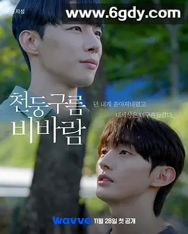 【韩剧】雷云暴雨 2025  1080P 4K高清  夸克全集 