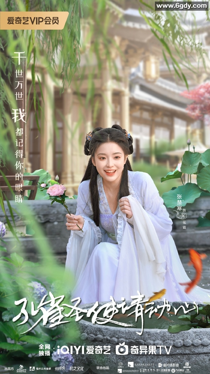 孔雀圣使请动心：2024年喜剧爱情剧《周峻纬 张楚寒》【全42集】 