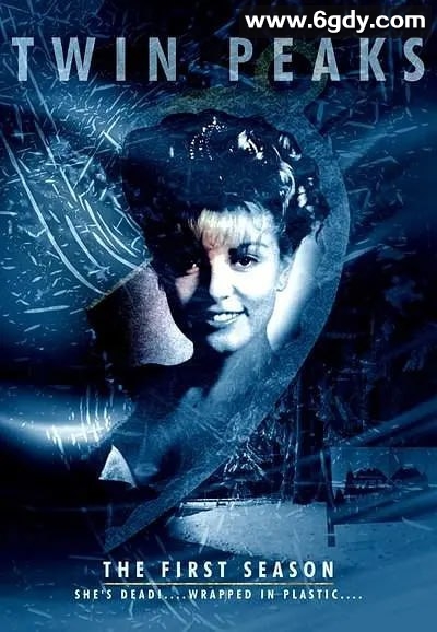 《双峰》：神秘悬疑美剧1-3季 