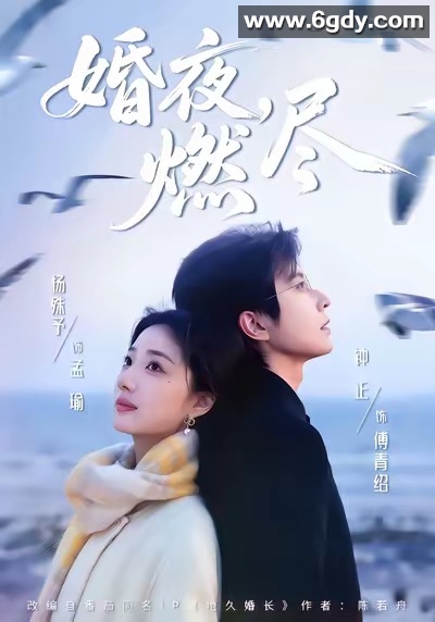 【热门短剧】婚夜，燃尽（85集）钟正＆杨殊予 