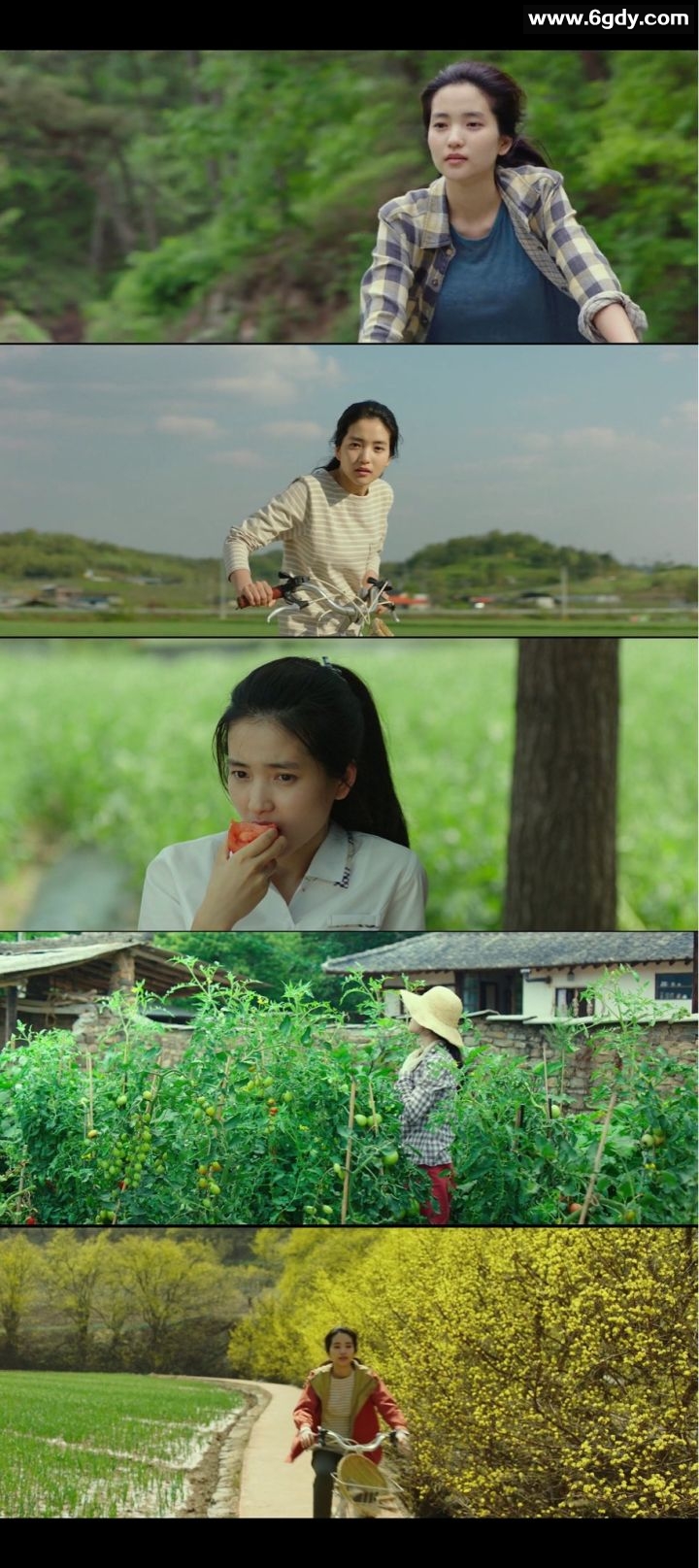 小森林 2018 韩国版 豆瓣7.5 蓝光原盘REMUX 原盘简繁中字 