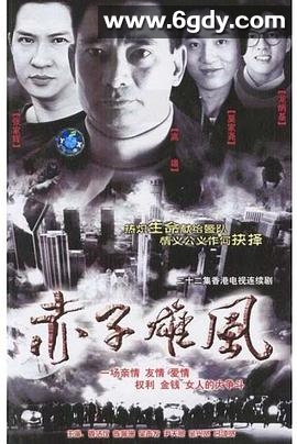 赤子雄风(1990)完结20集全迅雷网盘全集下载