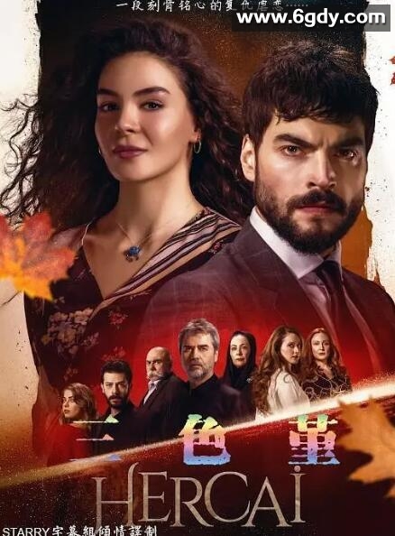 三色堇(2019)完结12集全迅雷网盘全集下载