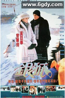 银狐(1993)完结全30集迅雷网盘全集下载