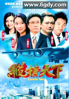 纵横天下(2001)完结全40集迅雷网盘全集下载