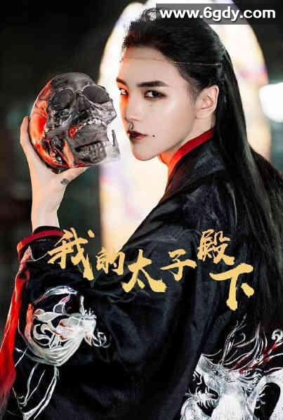 我的太子殿下(2022)完结第30集迅雷网盘全集下载