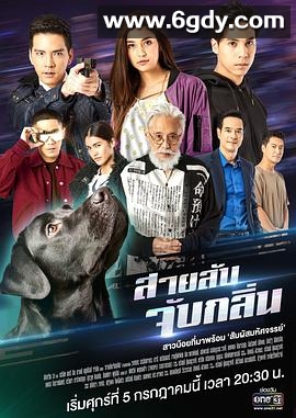 谍影追踪(2019)完结17集全迅雷网盘全集下载