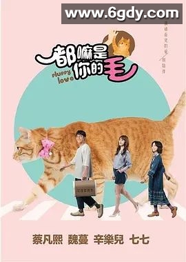 都嘛是你的毛(2021)完结已完结 共5集迅雷网盘全集下载