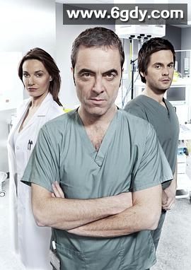 芒洛医生第一季(2011)完结已完结迅雷网盘全集下载