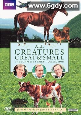 万物生灵第一季1978(1978)完结13集全迅雷网盘全集下载