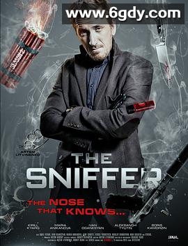 嗅觉神探第一季(2013)完结已完结迅雷网盘全集下载