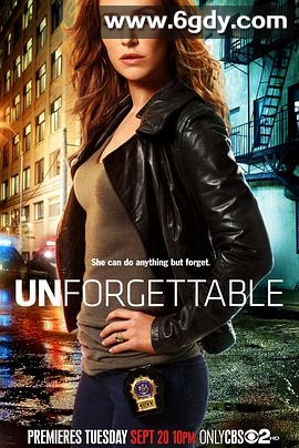 记忆神探第一季(2011)完结已完结迅雷网盘全集下载