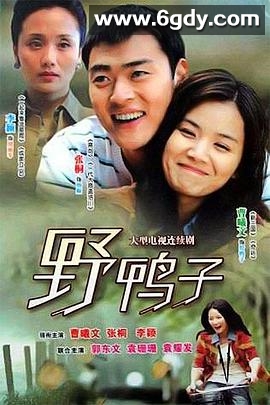 野鸭子(2011)完结已完结迅雷网盘全集下载
