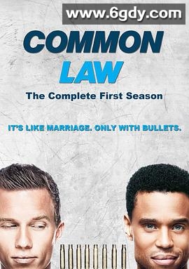 共同法则(2012)完结已完结迅雷网盘全集下载