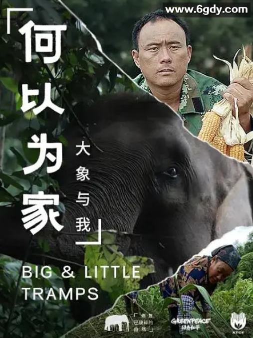 何以为家：大象与我(2020)完结已完结迅雷网盘全集下载