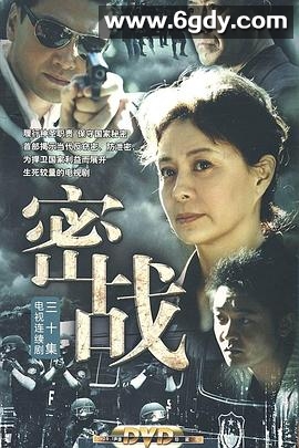 密战(2009)完结30集全迅雷网盘全集下载