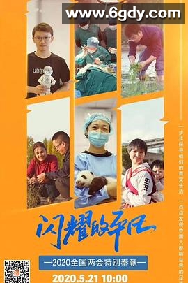 闪耀的平凡(2020)完结第15集迅雷网盘全集下载