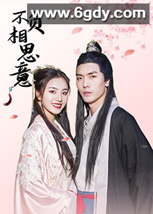 不负相思意(2022)完结第14集迅雷网盘全集下载