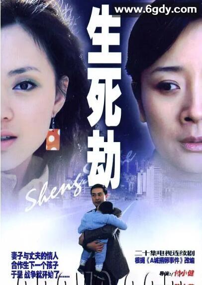 生死劫(2005)完结全20集迅雷网盘全集下载