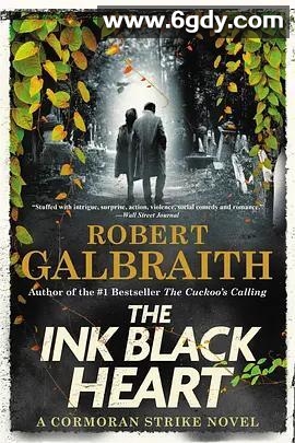 神探斯特莱克 第五季(2022)完结已完结 共4集迅雷网盘全集下载